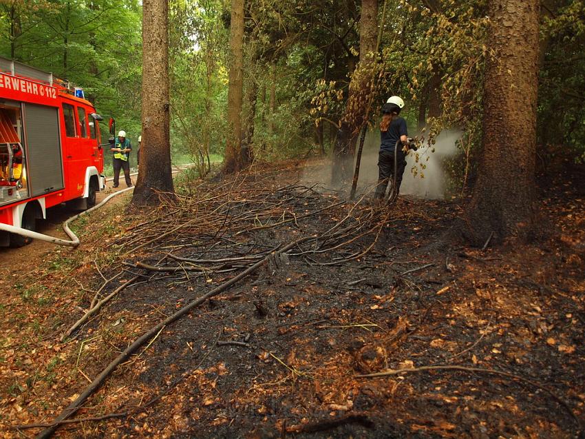 Waldbrand Bergisch Gladbach Bensberg P181.JPG